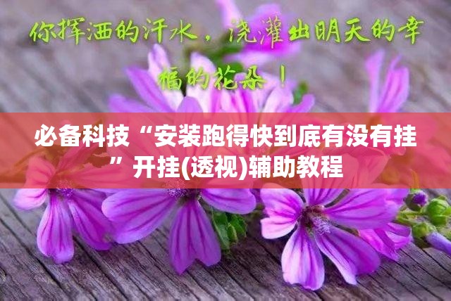必备科技“安装跑得快到底有没有挂”开挂(透视)辅助教程