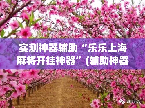 实测神器辅助“乐乐上海麻将开挂神器”(辅助神器)开挂详细教程