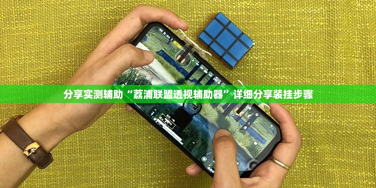 分享实测辅助“荔浦联盟透视辅助器”详细分享装挂步骤