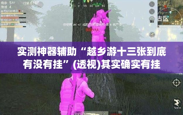 实测神器辅助“越乡游十三张到底有没有挂”(透视)其实确实有挂
