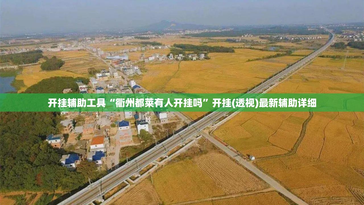 开挂辅助工具“衢州都莱有人开挂吗”开挂(透视)最新辅助详细