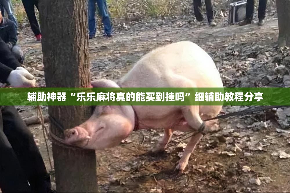 辅助神器“乐乐麻将真的能买到挂吗	”细辅助教程分享