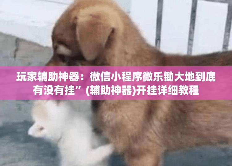 玩家辅助神器：微信小程序微乐锄大地到底有没有挂”(辅助神器)开挂详细教程
