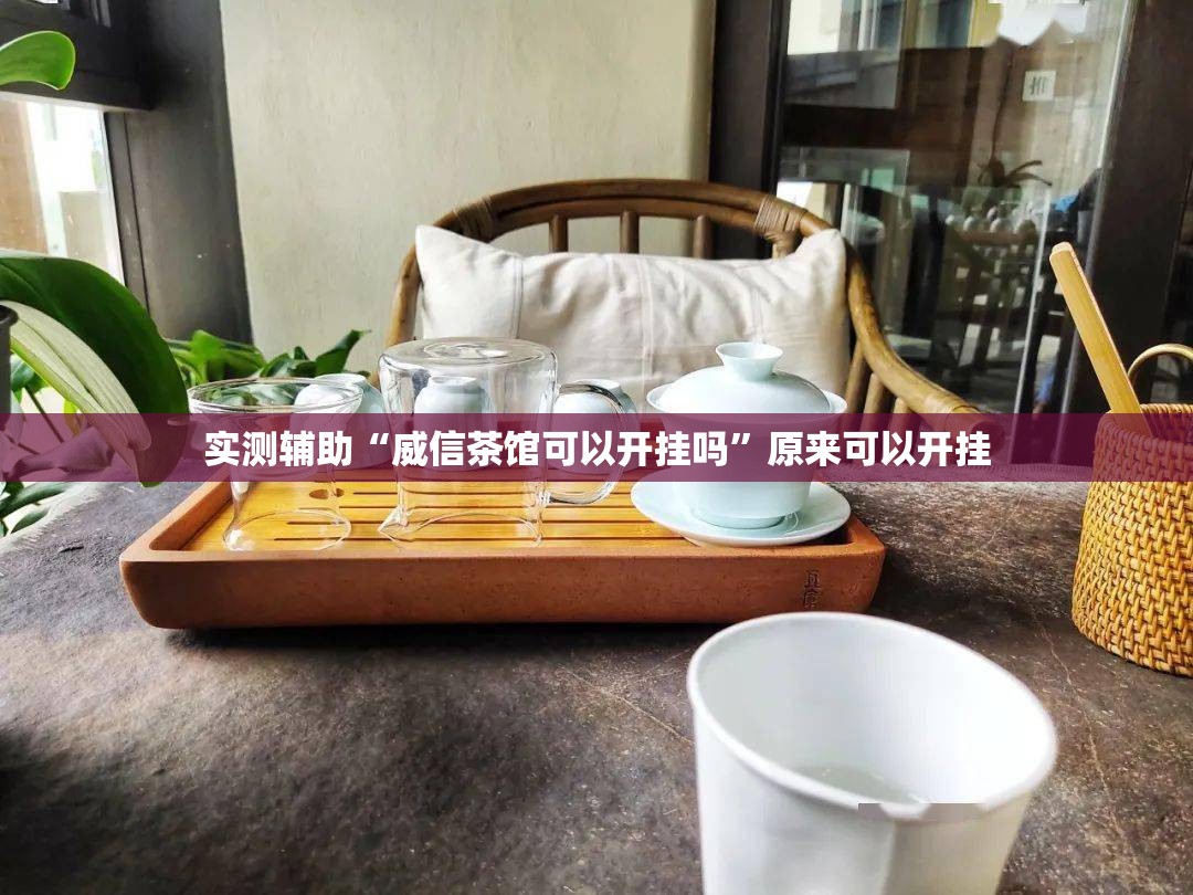 实测辅助“威信茶馆可以开挂吗”原来可以开挂
