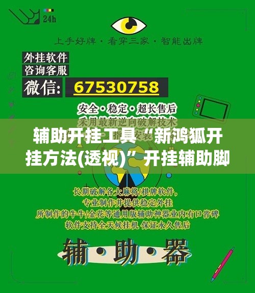 辅助开挂工具“新鸿狐开挂方法(透视)”开挂辅助脚本+详细开挂安装教程