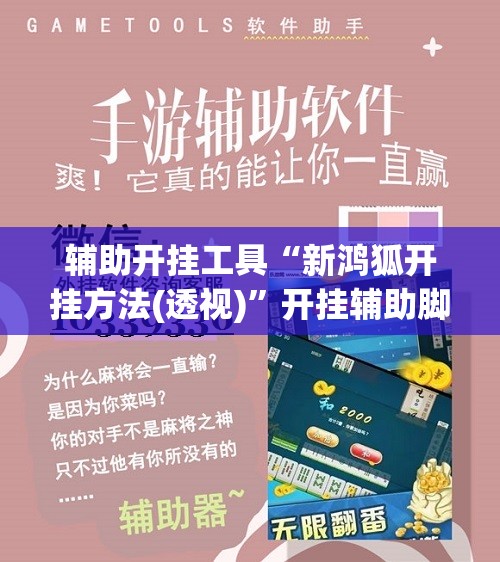 辅助开挂工具“新鸿狐开挂方法(透视)”开挂辅助脚本+详细开挂安装教程