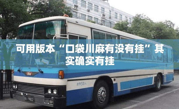可用版本“口袋川麻有没有挂”其实确实有挂