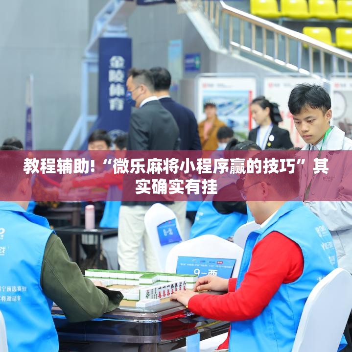 教程辅助!“微乐麻将小程序赢的技巧”其实确实有挂