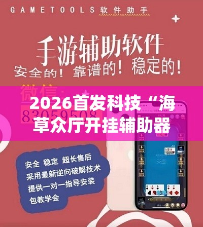 2026首发科技“海草众厅开挂辅助器通用版”(透视挂)辅助下载教程