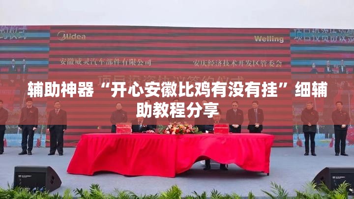 辅助神器“开心安徽比鸡有没有挂”细辅助教程分享