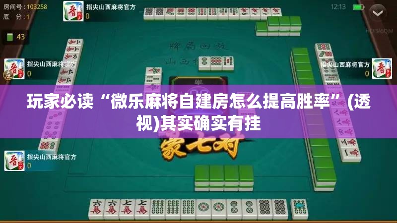 玩家必读“微乐麻将自建房怎么提高胜率”(透视)其实确实有挂