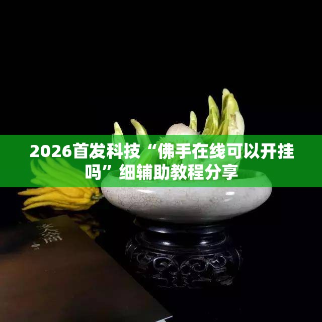 2026首发科技“佛手在线可以开挂吗”细辅助教程分享