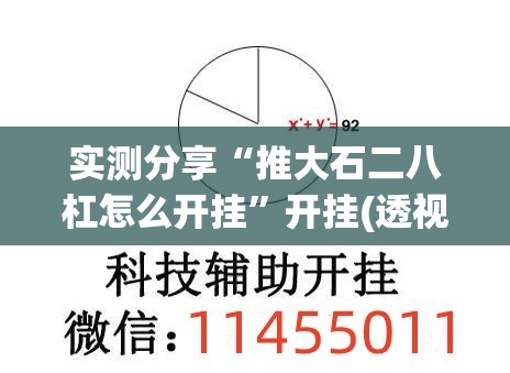 实测分享“推大石二八杠怎么开挂”开挂(透视)辅助教程