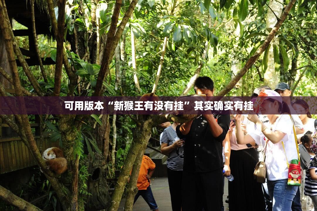 可用版本“新猴王有没有挂”其实确实有挂