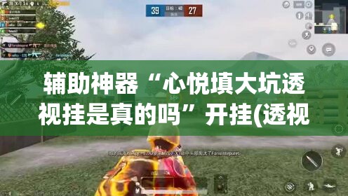 辅助神器“心悦填大坑透视挂是真的吗”开挂(透视)辅助教程