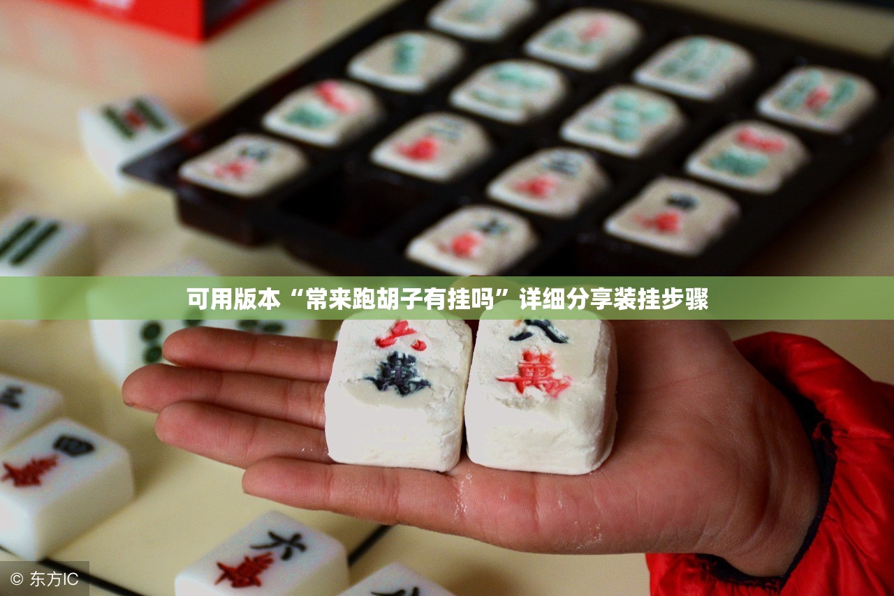 可用版本“常来跑胡子有挂吗”详细分享装挂步骤