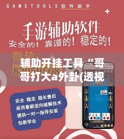 辅助开挂工具“哥哥打大a外卦(透视)”开挂辅助脚本+详细开挂安装教程