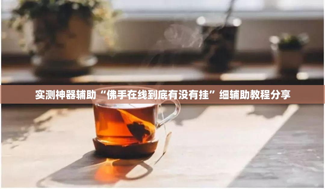 实测神器辅助“佛手在线到底有没有挂”细辅助教程分享