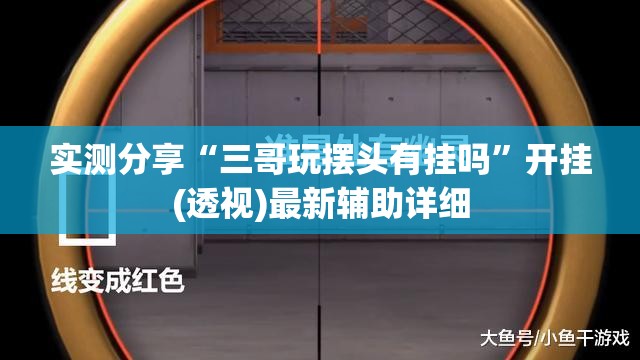 实测分享“三哥玩摆头有挂吗”开挂(透视)最新辅助详细