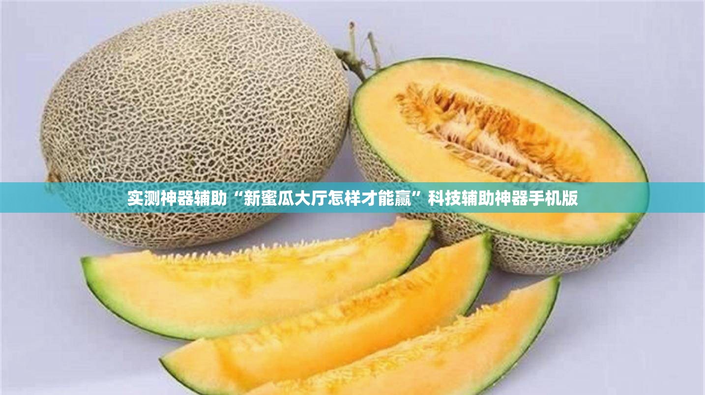 实测神器辅助“新蜜瓜大厅怎样才能赢”科技辅助神器手机版