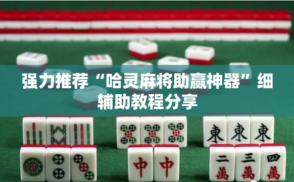 强力推荐“哈灵麻将助赢神器”细辅助教程分享