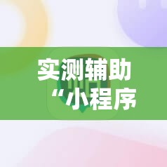 实测辅助“小程序麻将控牌神器”细辅助教程分享