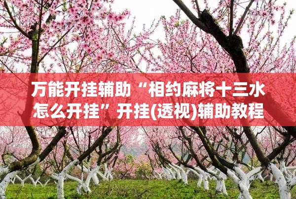 万能开挂辅助“相约麻将十三水怎么开挂	”开挂(透视)辅助教程
