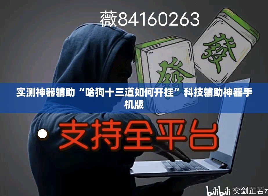 实测神器辅助“哈狗十三道如何开挂	”科技辅助神器手机版