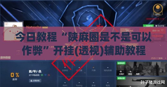 今日教程“陕麻圈是不是可以作弊”开挂(透视)辅助教程