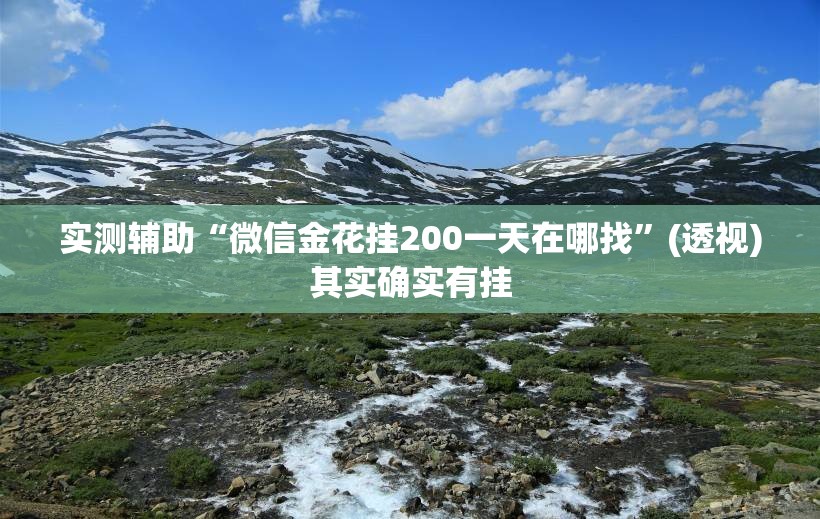 实测辅助“微信金花挂200一天在哪找”(透视)其实确实有挂