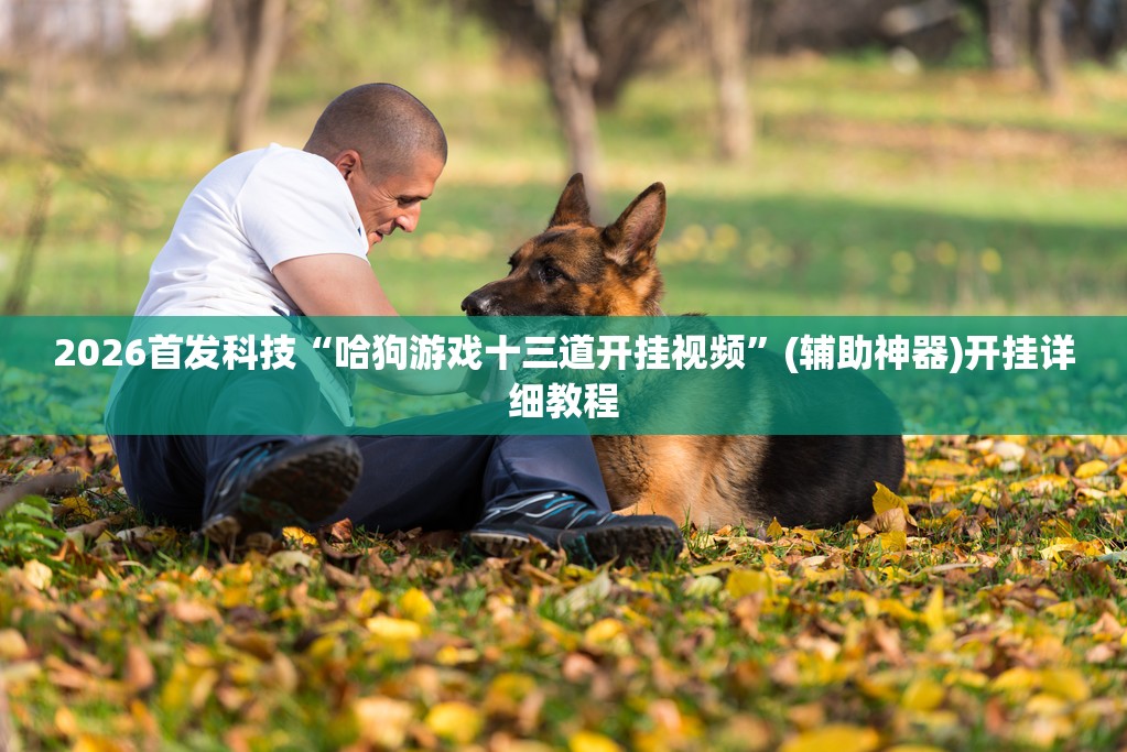 2026首发科技“哈狗游戏十三道开挂视频	”(辅助神器)开挂详细教程