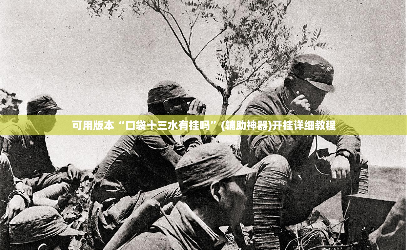 可用版本“口袋十三水有挂吗”(辅助神器)开挂详细教程