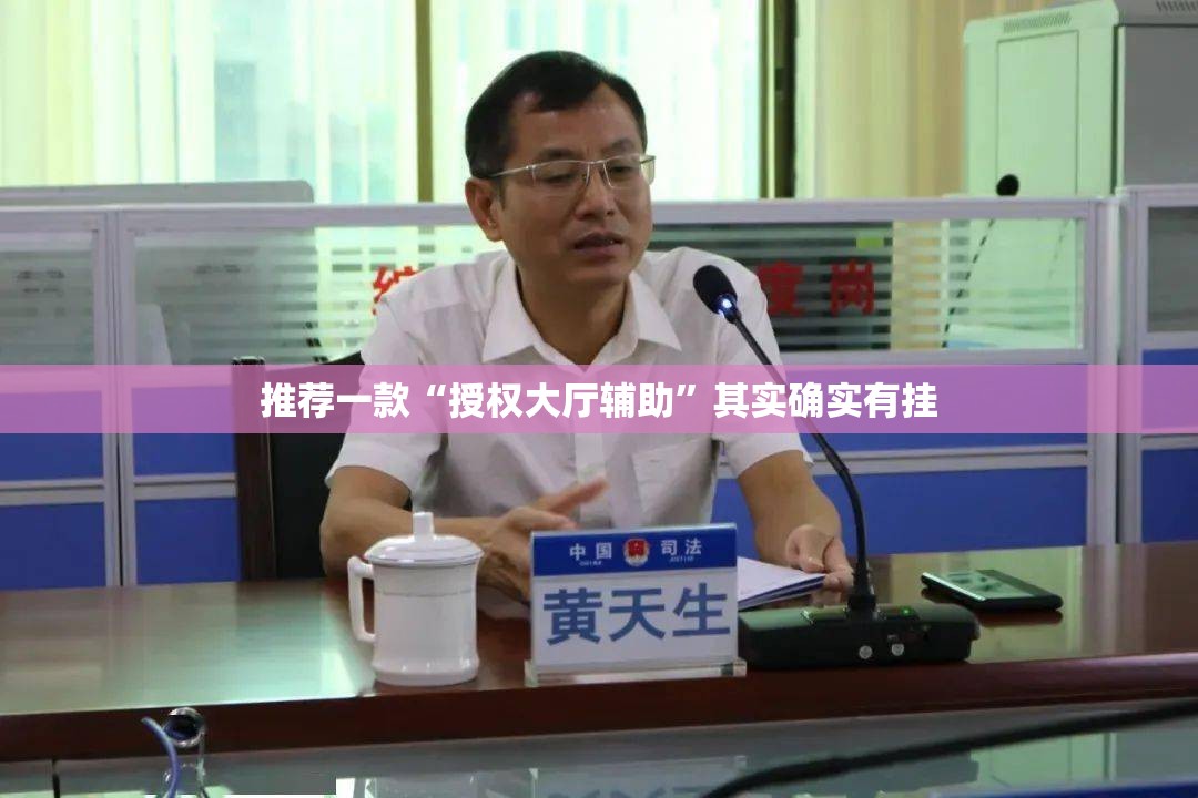 推荐一款“授权大厅辅助”其实确实有挂