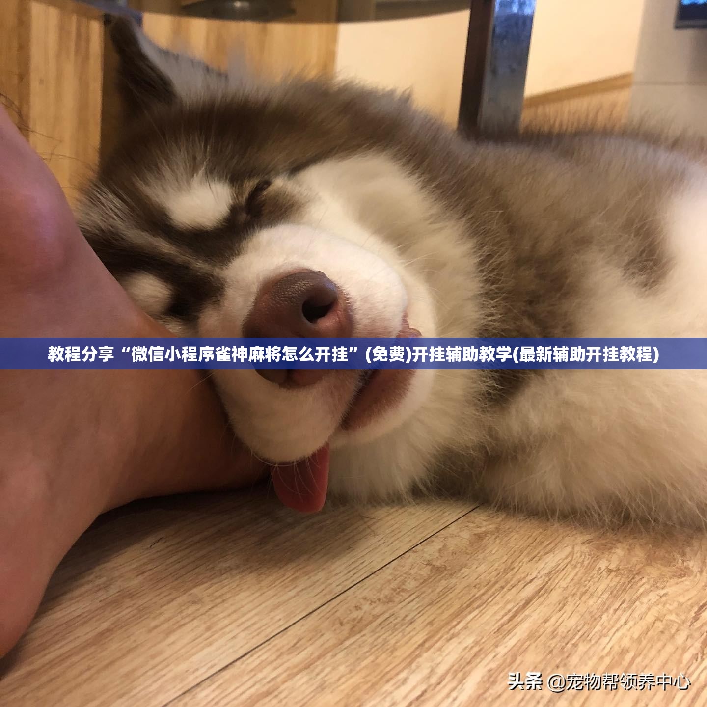 教程分享“微信小程序雀神麻将怎么开挂	”(免费)开挂辅助教学(最新辅助开挂教程)
