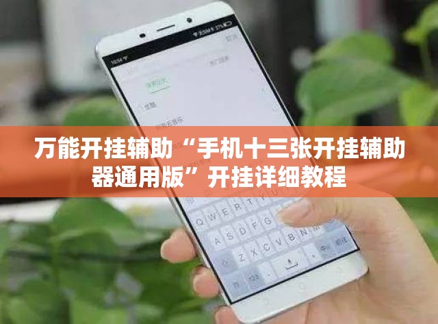 万能开挂辅助“手机十三张开挂辅助器通用版”开挂详细教程