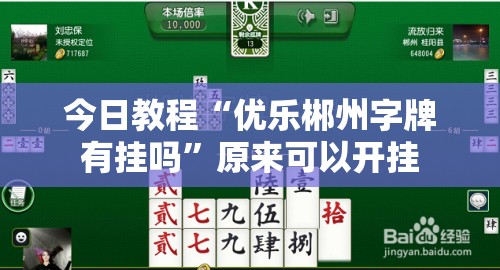 今日教程“优乐郴州字牌有挂吗	”原来可以开挂