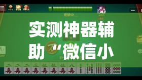 实测神器辅助“微信小程序微乐湖北麻将到底有没有挂”(透视挂)辅助下载教程