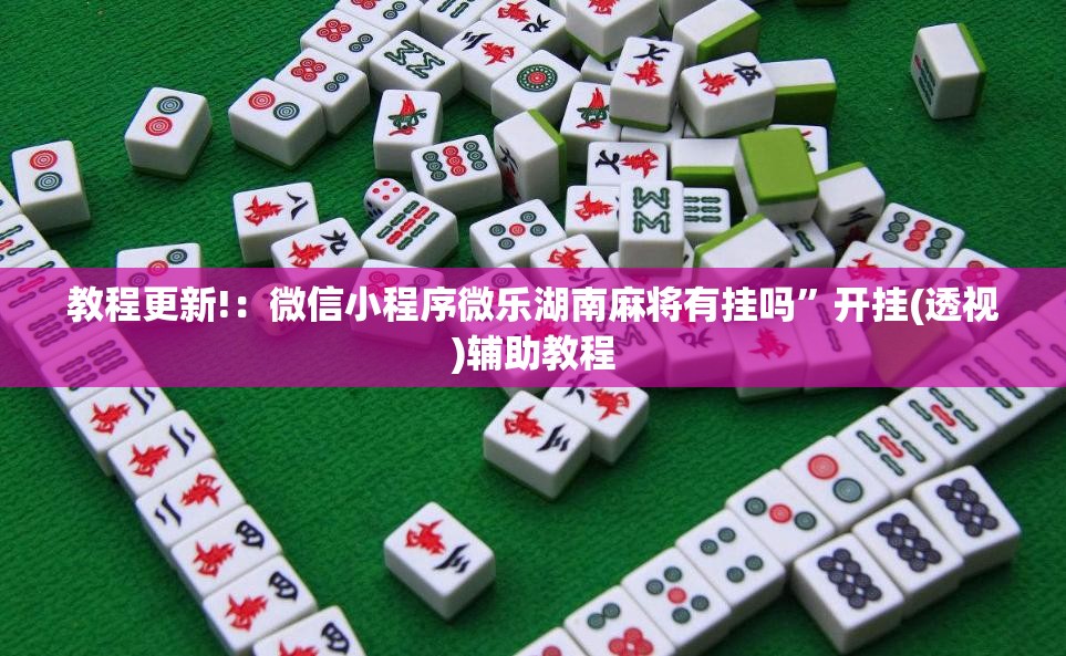 教程更新!：微信小程序微乐湖南麻将有挂吗”开挂(透视)辅助教程