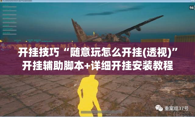 开挂技巧“随意玩怎么开挂(透视)”开挂辅助脚本+详细开挂安装教程