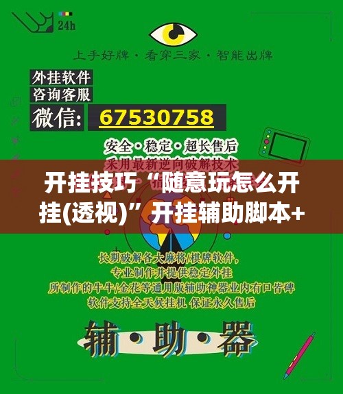 开挂技巧“随意玩怎么开挂(透视)”开挂辅助脚本+详细开挂安装教程