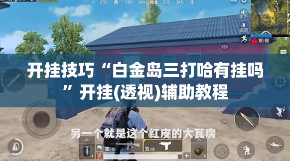 开挂技巧“白金岛三打哈有挂吗”开挂(透视)辅助教程