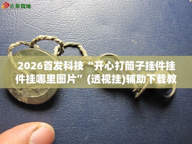 2026首发科技“开心打筒子挂件挂件挂哪里图片”(透视挂)辅助下载教程