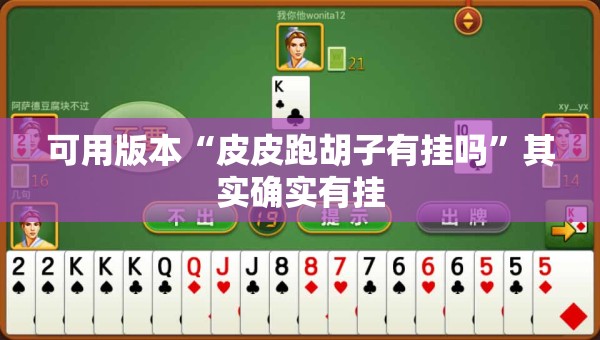 可用版本“皮皮跑胡子有挂吗”其实确实有挂