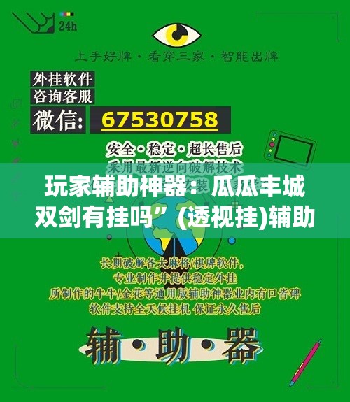 玩家辅助神器：瓜瓜丰城双剑有挂吗”(透视挂)辅助下载教程
