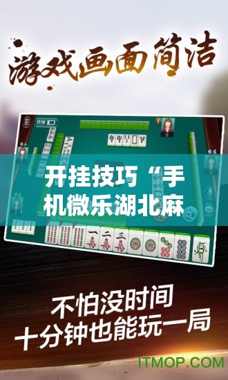开挂技巧“手机微乐湖北麻将开挂辅助器通用版”2026开挂教程步骤