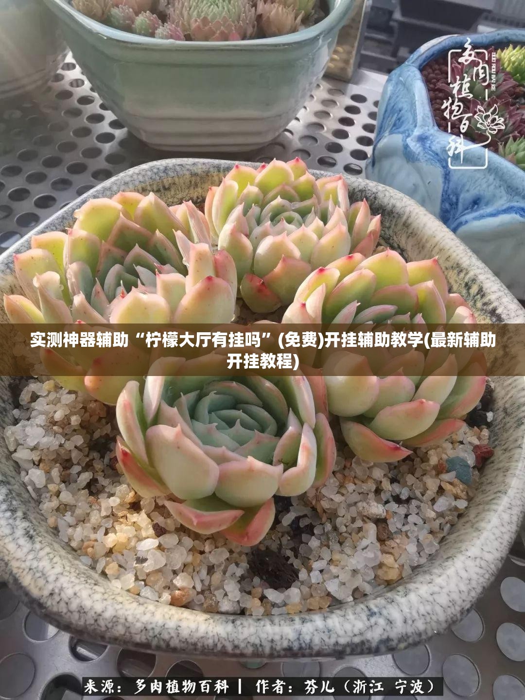 实测神器辅助“柠檬大厅有挂吗”(免费)开挂辅助教学(最新辅助开挂教程)
