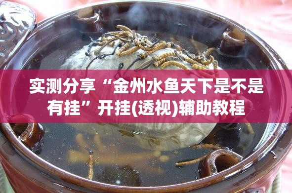 实测分享“金州水鱼天下是不是有挂”开挂(透视)辅助教程