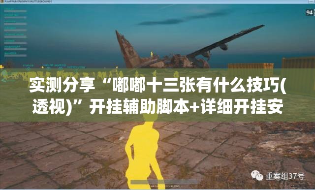 实测分享“嘟嘟十三张有什么技巧(透视)	”开挂辅助脚本+详细开挂安装教程
