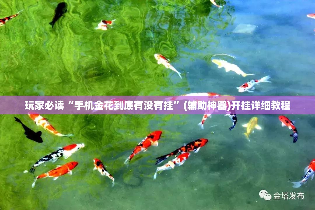 玩家必读“手机金花到底有没有挂	”(辅助神器)开挂详细教程