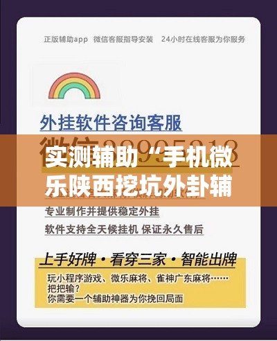 实测辅助“手机微乐陕西挖坑外卦辅助软件下载	”详细分享装挂步骤